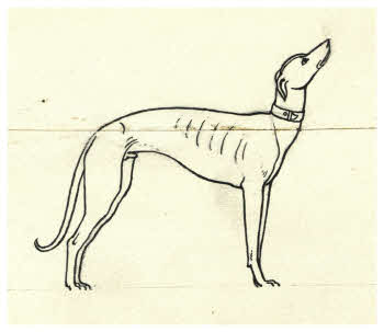 Visualizza l'immagine "FD D 1916"